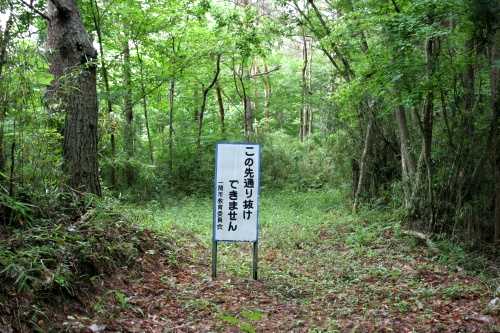 旧迫街道 苅又 萩荘 一関市 岩手県
