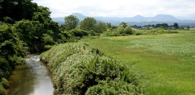 二迫川 袋島巡 鶯沢 栗駒 栗原市 宮城県