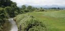 二迫川 袋島巡 鶯沢 栗駒 栗原市 宮城県