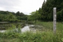 水神社・赤鳥井の松 柳目持くれ沢 一迫 栗原市 宮城県