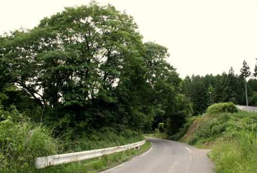 天王寺一里塚 上野目九十九沢 岩出山 大崎市 宮城県
