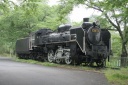 城山公園 城山 岩出山 大崎市 宮城県
