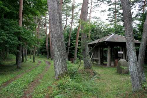 千本松長根東屋 黒松 上真山 岩出山 大崎市 宮城県