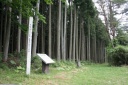 潜松古墳群 上真山堂ノ沢 岩出山 大崎市 宮城県