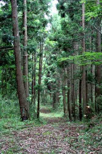 潜松坂古道 日向北沢 上真山 岩出山 大崎市 宮城県