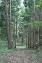 潜松坂古道 日向北沢 上真山 岩出山 大崎市 宮城県