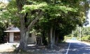 千日堂 細江町気賀 浜松市北区 静岡県