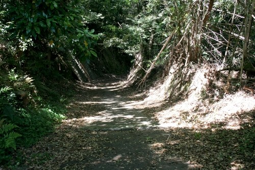長坂(旧姫街道） 細江町中川 浜松市北区 静岡県