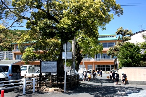 気賀近藤陣屋遺木江戸椎 細江町気賀 浜松市北区 静岡県