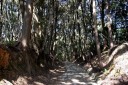 旧姫街道・引佐峠道 細江町気賀 浜松市北区 静岡県