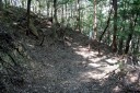 旧姫街道・象鳴き坂 三ヶ日町大谷 浜松市北区 静岡県