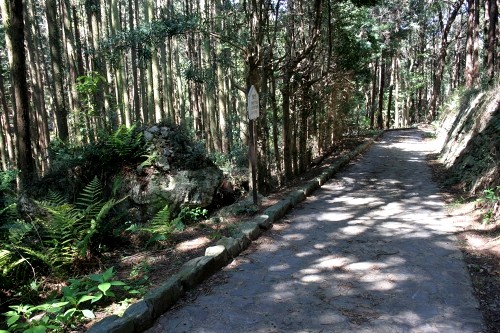 旧姫街道・石投げ岩 三ヶ日町大谷 浜松市北区 静岡県