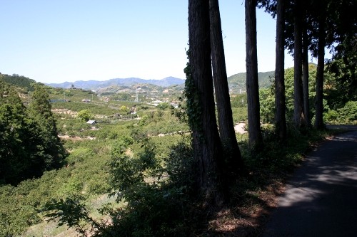 旧姫街道・引佐峠道 三ヶ日町大谷 浜松市北区 静岡県