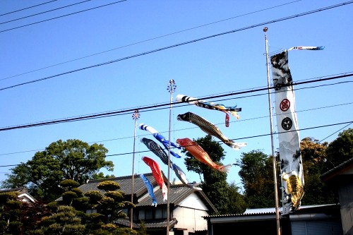 民家 三ヶ日町日比沢 浜松市北区 静岡県