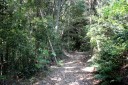 本坂峠道 三ヶ日町本坂 浜松市北区 静岡県