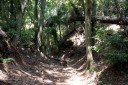 本坂峠越 三ヶ日町本坂 浜松市北区 静岡県