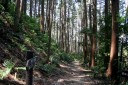 本坂峠越 嵩山町 豊橋市 愛知県