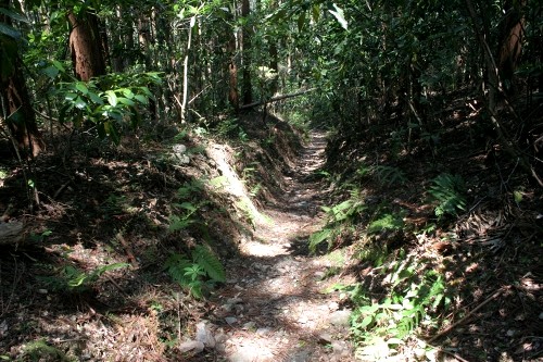 本坂峠越 嵩山町 豊橋市 愛知県