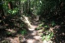 本坂峠越 嵩山町 豊橋市 愛知県