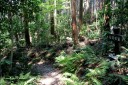 本坂峠越・茶屋場跡 嵩山町 豊橋市 愛知県