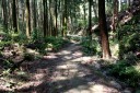 本坂峠越・石畳 嵩山町 豊橋市 愛知県