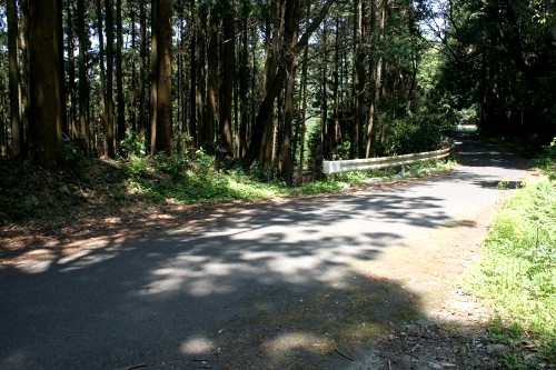 本坂峠越 嵩山町 豊橋市 愛知県
