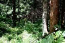茂別館跡 矢不来 北斗市 北海道