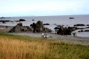 折戸浜キャンプ場 館浜 松前町 松前郡 北海道