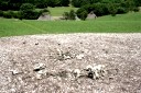 北黄金貝塚 北黄金町 伊達市 北海道