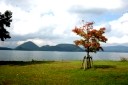 洞爺湖 壮瞥町 有珠郡 北海道