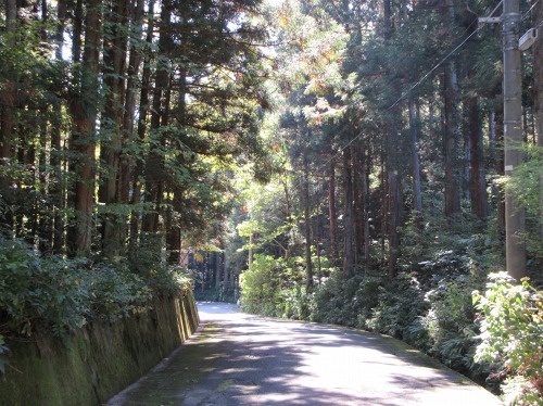 旧北国街道 弥彦村弥彦 西蒲原郡 新潟県