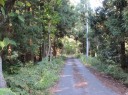 旧北国街道 弥彦村観音寺 西蒲原郡 新潟県