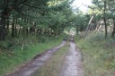 馬方道（お幕場森林公園） 北新保 村上市 新潟県