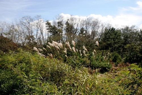 史跡奥山荘城館遺跡 村松浜 胎内市 新潟県