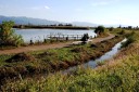 福島潟 新鼻 北区 新潟市 新潟県