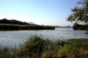 鳥屋野潟 西船見町 中央区 新潟市 新潟県