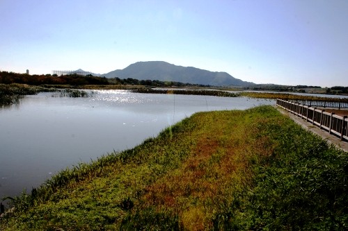 佐潟 赤塚 西区 新潟市 新潟県