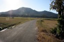 旧北国街道 二箇/布目 西蒲区 新潟市 新潟県