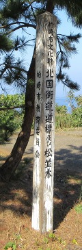 北国街道米沢三里旧道・松並木 青海川 柏崎市 新潟県