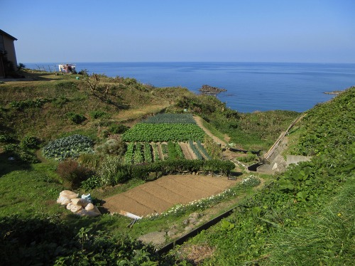 笠島 柏崎市 新潟県