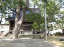 秋葉神社 横町１丁目 糸魚川市 新潟県