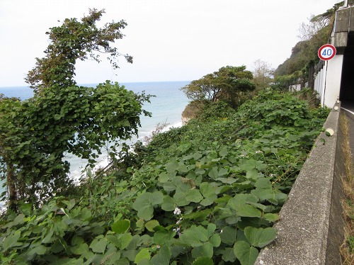 日本海 青海 糸魚川市 新潟県
