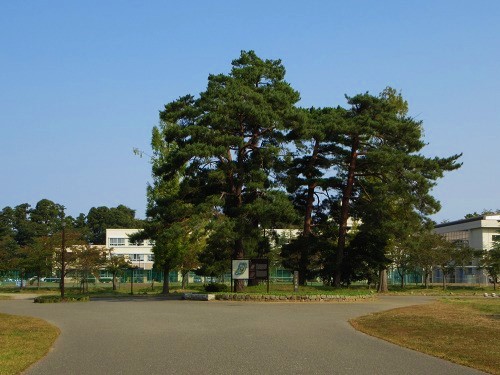 高田城本丸跡 本城町 上越市 新潟県