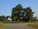 高田城本丸跡 本城町 上越市 新潟県