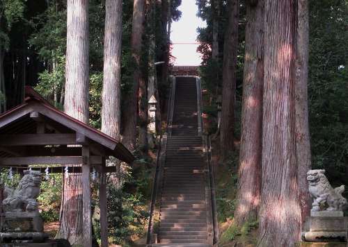 春日神社 中屋敷 上越市 新潟県