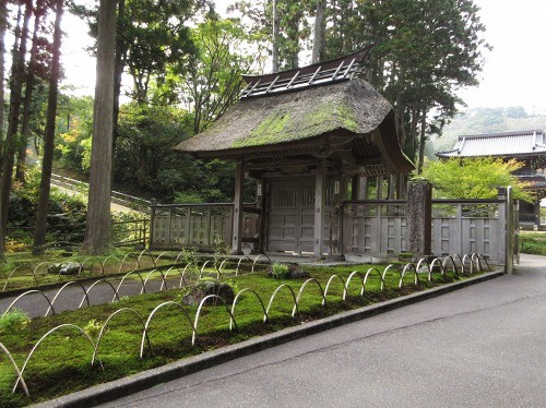 林泉寺 中門前１丁目 上越市 新潟県