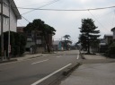 加賀街道と松並木 国府／加賀町 上越市 新潟県