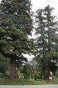 石塔 長者原 舟形町 最上郡 山形県