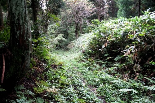 旧舟形街道 清水 大蔵村 最上郡 山形県