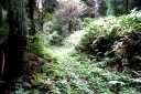 旧舟形街道 清水 大蔵村 最上郡 山形県